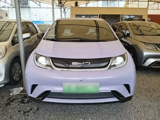 BYD Dolphin 2023 купить из Китая, цена 1 488 000 ₽ — Suifenhe Auto