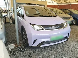 BYD Dolphin 2023 купить из Китая, цена 1 488 000 ₽ — Suifenhe Auto