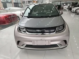BYD Dolphin 2022 купить из Китая, цена 3 009 000 ₽ — Suifenhe Auto