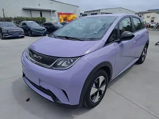 BYD Dolphin 2024 купить из Китая, цена 1 563 000 ₽ — Suifenhe Auto