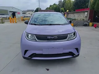 BYD Dolphin 2024 купить из Китая, цена 1 563 000 ₽ — Suifenhe Auto