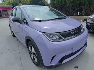 BYD Dolphin 2024 купить из Китая, цена 1 563 000 ₽ — Suifenhe Auto