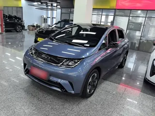 BYD Dolphin 2024 купить из Китая, цена 1 623 000 ₽ — Suifenhe Auto