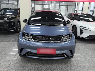 BYD Dolphin 2024 купить из Китая, цена 1 623 000 ₽ — Suifenhe Auto