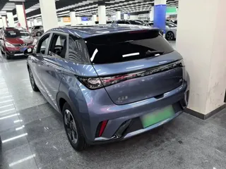 BYD Dolphin 2024 купить из Китая, цена 1 623 000 ₽ — Suifenhe Auto