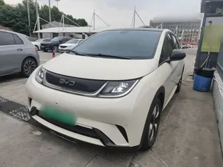 BYD Dolphin 2024 купить из Китая, цена 1 686 000 ₽ — Suifenhe Auto