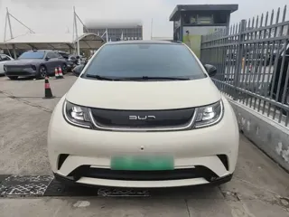 BYD Dolphin 2024 купить из Китая, цена 1 686 000 ₽ — Suifenhe Auto