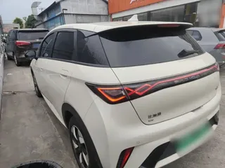 BYD Dolphin 2024 купить из Китая, цена 1 686 000 ₽ — Suifenhe Auto