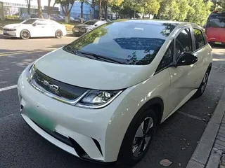 BYD Dolphin 2023 купить из Китая, цена 1 519 000 ₽ — Suifenhe Auto
