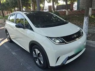 BYD Dolphin 2023 купить из Китая, цена 1 519 000 ₽ — Suifenhe Auto
