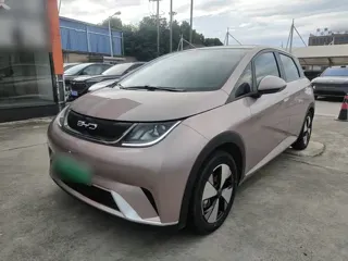 BYD Dolphin 2024 купить из Китая, цена 1 465 000 ₽ — Suifenhe Auto