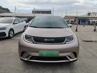 BYD Dolphin 2024 купить из Китая, цена 1 465 000 ₽ — Suifenhe Auto