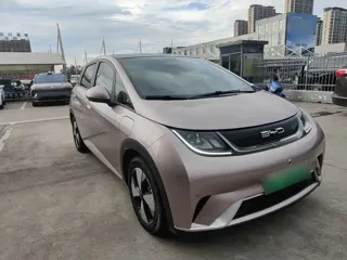 BYD Dolphin 2024 купить из Китая, цена 1 465 000 ₽ — Suifenhe Auto
