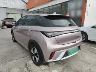 BYD Dolphin 2024 купить из Китая, цена 1 465 000 ₽ — Suifenhe Auto