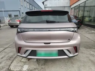 BYD Dolphin 2024 купить из Китая, цена 1 465 000 ₽ — Suifenhe Auto