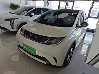 BYD Dolphin 2023 купить из Китая, цена 1 481 000 ₽ — Suifenhe Auto