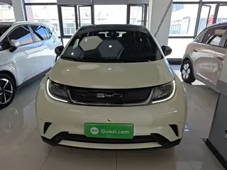 BYD Dolphin 2023 купить из Китая, цена 1 481 000 ₽ — Suifenhe Auto