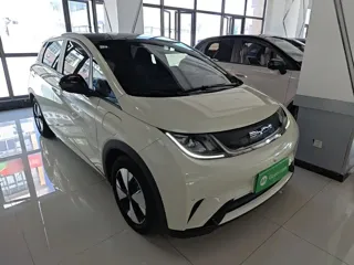 BYD Dolphin 2023 купить из Китая, цена 1 481 000 ₽ — Suifenhe Auto