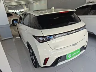 BYD Dolphin 2023 купить из Китая, цена 1 481 000 ₽ — Suifenhe Auto