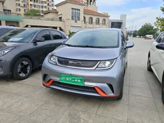 BYD Dolphin 2022 купить из Китая, цена 1 423 000 ₽ — Suifenhe Auto