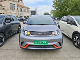 BYD Dolphin 2022 купить из Китая, цена 1 423 000 ₽ — Suifenhe Auto