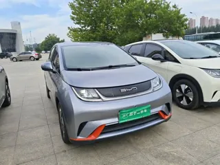 BYD Dolphin 2022 купить из Китая, цена 1 423 000 ₽ — Suifenhe Auto