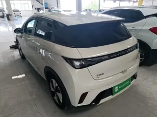 BYD Dolphin 2023 купить из Китая, цена 1 445 000 ₽ — Suifenhe Auto