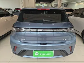BYD Dolphin 2026 купить из Китая, цена 1 695 000 ₽ — Suifenhe Auto