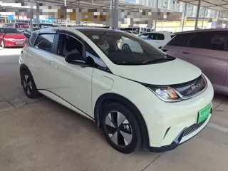 BYD Dolphin 2023 купить из Китая, цена 1 487 000 ₽ — Suifenhe Auto