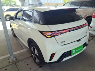 BYD Dolphin 2023 купить из Китая, цена 1 487 000 ₽ — Suifenhe Auto