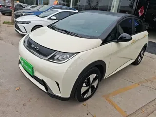 BYD Dolphin 2024 купить из Китая, цена 1 554 000 ₽ — Suifenhe Auto