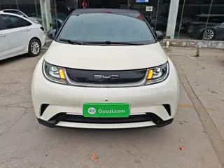 BYD Dolphin 2024 купить из Китая, цена 1 554 000 ₽ — Suifenhe Auto