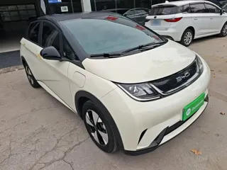 BYD Dolphin 2024 купить из Китая, цена 1 554 000 ₽ — Suifenhe Auto