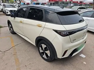 BYD Dolphin 2024 купить из Китая, цена 1 554 000 ₽ — Suifenhe Auto