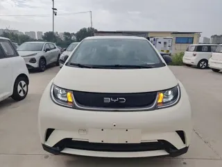 BYD Dolphin 2026 купить из Китая, цена 1 772 000 ₽ — Suifenhe Auto