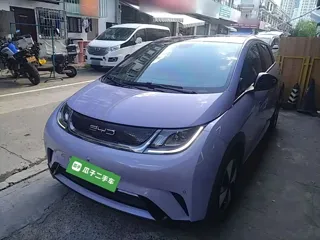 BYD Dolphin 2023 купить из Китая, цена 1 427 000 ₽ — Suifenhe Auto