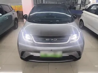 BYD Dolphin 2023 купить из Китая, цена 1 461 000 ₽ — Suifenhe Auto