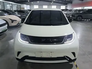 BYD Dolphin 2024 купить из Китая, цена 1 599 000 ₽ — Suifenhe Auto
