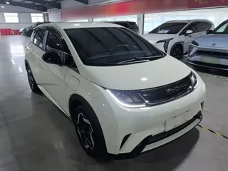 BYD Dolphin 2024 купить из Китая, цена 1 599 000 ₽ — Suifenhe Auto