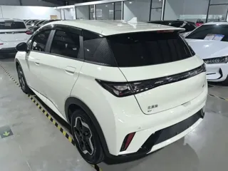 BYD Dolphin 2024 купить из Китая, цена 1 599 000 ₽ — Suifenhe Auto