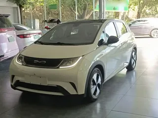 BYD Dolphin 2023 купить из Китая, цена 1 534 000 ₽ — Suifenhe Auto