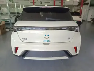 BYD Dolphin 2023 купить из Китая, цена 1 534 000 ₽ — Suifenhe Auto