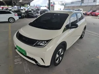 BYD Dolphin 2025 купить из Китая, цена 1 659 000 ₽ — Suifenhe Auto