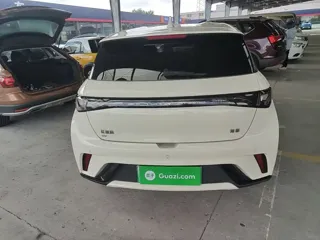 BYD Dolphin 2025 купить из Китая, цена 1 659 000 ₽ — Suifenhe Auto