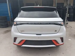 BYD Dolphin 2022 купить из Китая, цена 1 465 000 ₽ — Suifenhe Auto