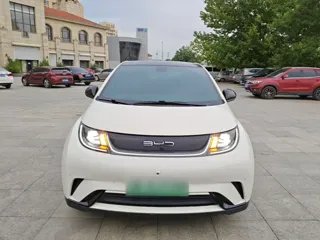 BYD Dolphin 2023 купить из Китая, цена 1 503 000 ₽ — Suifenhe Auto