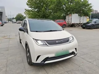 BYD Dolphin 2023 купить из Китая, цена 1 503 000 ₽ — Suifenhe Auto