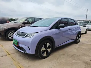 BYD Dolphin 2024 купить из Китая, цена 1 625 000 ₽ — Suifenhe Auto
