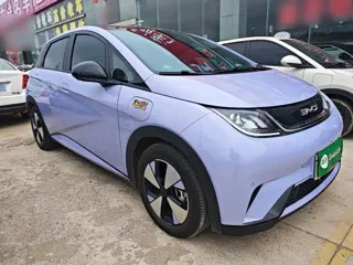 BYD Dolphin 2024 купить из Китая, цена 1 625 000 ₽ — Suifenhe Auto