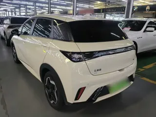 BYD Dolphin 2025 купить из Китая, цена 1 612 000 ₽ — Suifenhe Auto